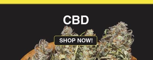 CBD - buy weed online Canada
