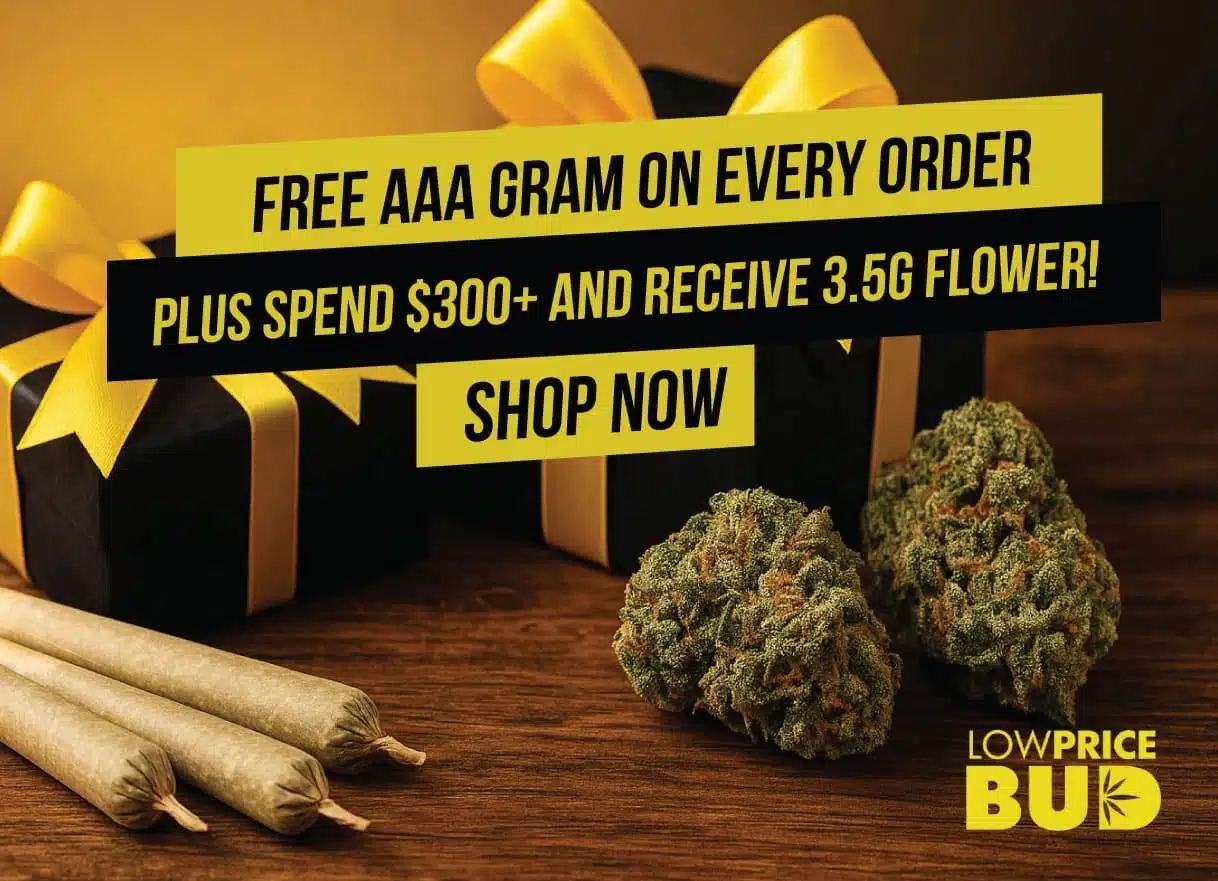 Free gift with every order