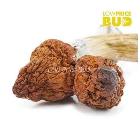 Mushrooms – Cambodian