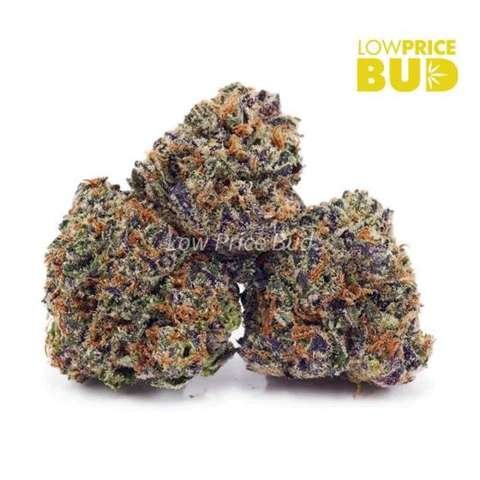 Amnesia Haze (AAAA)