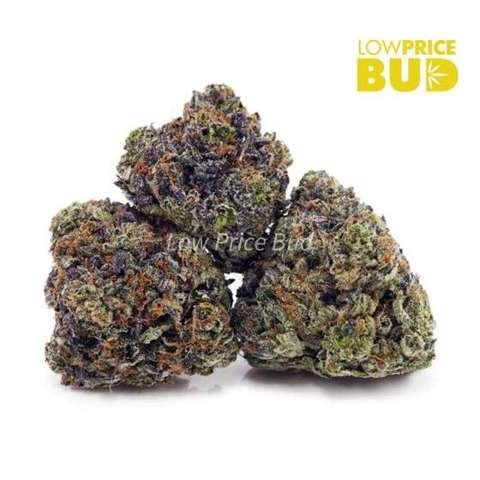 Tom Ford Pink Kush (Craft Cannabis)