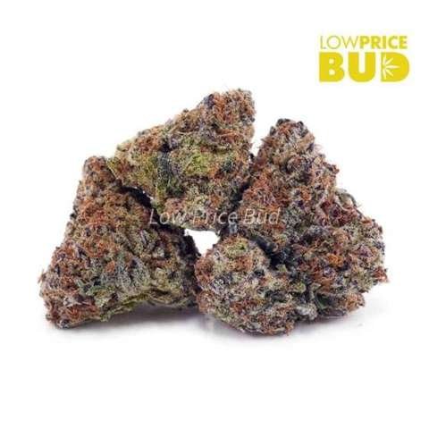 Mendo Cookies (AAAA)