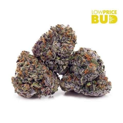 Platinum Grape Juice (Craft Cannabis)