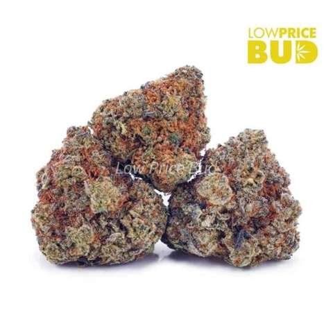 Vanilla Kush (AAA)