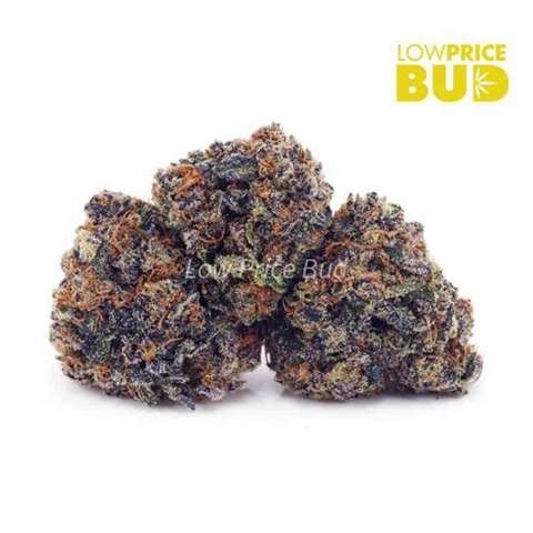 Grape God (Craft Cannabis)