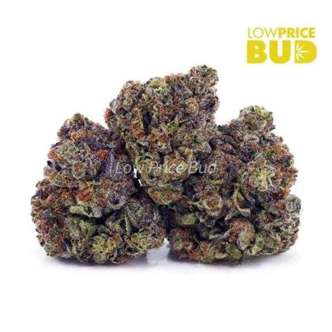 Bruce Banner (AAAA)