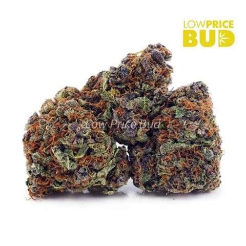 Purple Haze (AAA)