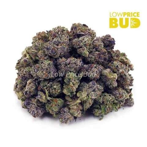 Platinum Blueberry (AAAA) – Popcorn Nugs