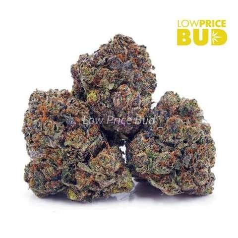 Supreme Gas Mask (Craft Cannabis)