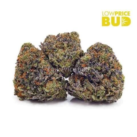 Blueberry Breath (AAAA)