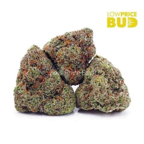 Birthday Cake Kush (AAAA)