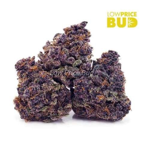 Purple Afghani Kush (AAA)