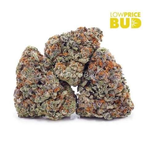 Golden Goat (AAA)