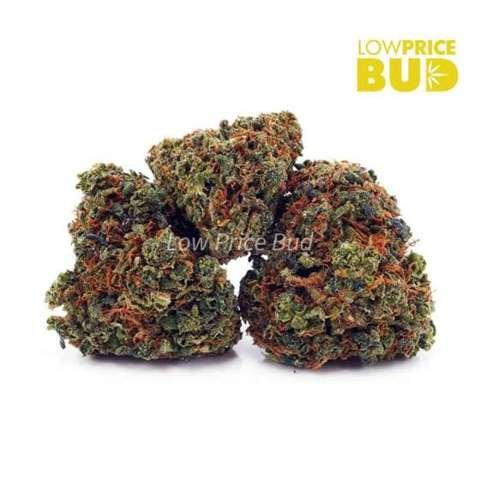 Super Lemon Haze (AAA)