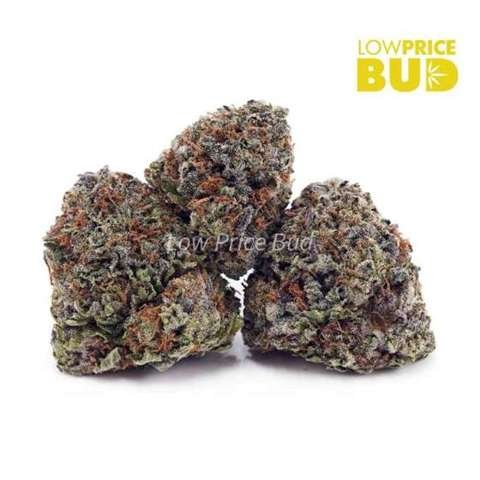 Trainwreck (AAA)