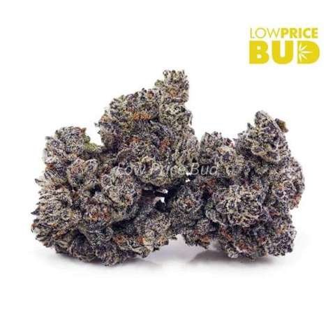 Tangerine Dream (AAAA)