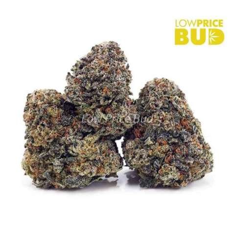 Green Goblin (AAAA)