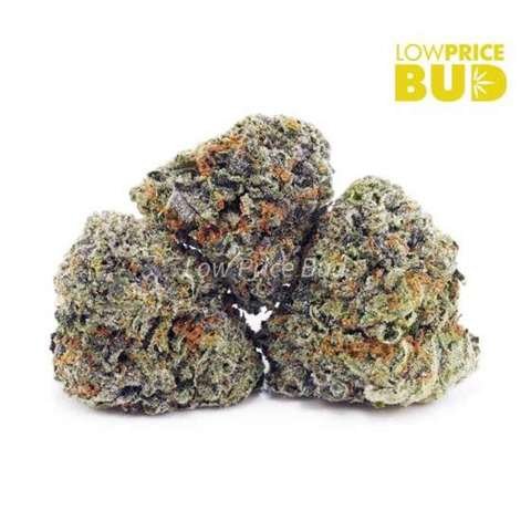 Tuna Kush (AAA)