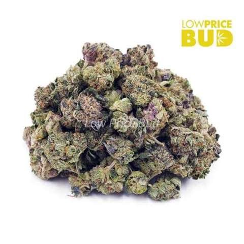Pre-98 Bubba (AAAA) – Popcorn Nugs