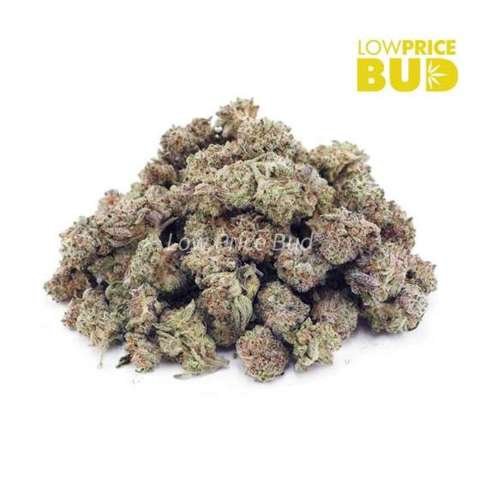 Fruity Pebbles OG (AAAA) – Popcorn Nugs