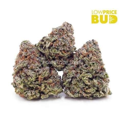 Banana Kush (AA)