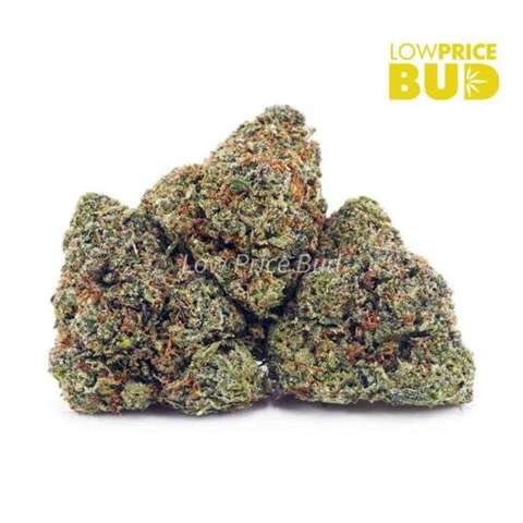 Frosted Fruit Cake (AAAA)