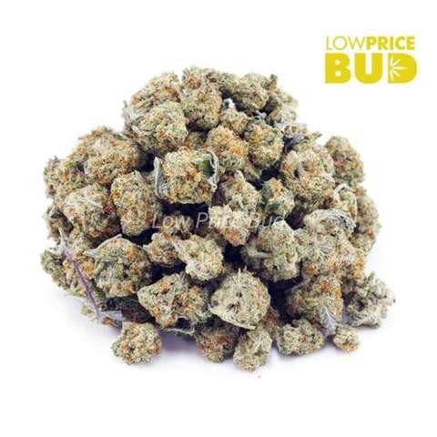 Alien Cookies (AAAA) – Popcorn Nugs
