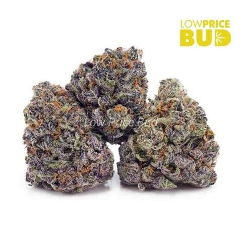 Blue Nerdz (AAAA)