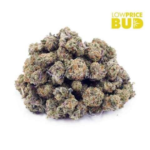 Tutti Frutti (AAAA) – Popcorn Nugs