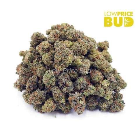 Ghost OG (AAAA) – Popcorn Nugs