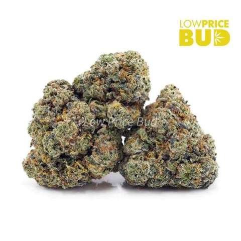 Super Glue (AAA)