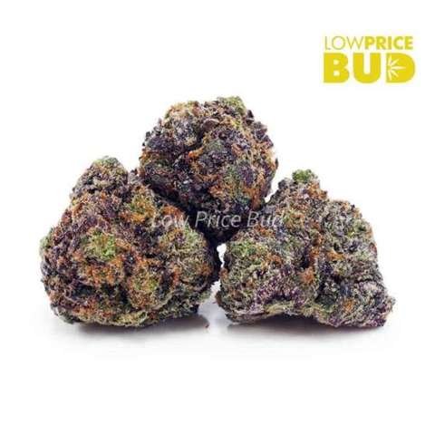 Grape Stomper (AAAA)