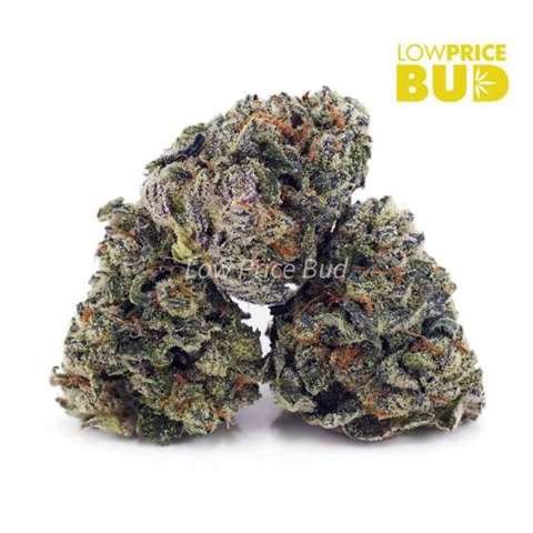 Blackberry Kush (AAA)
