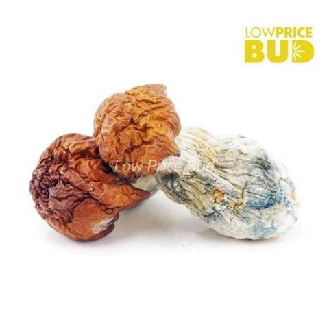 Mushrooms – Bluey Vuitton