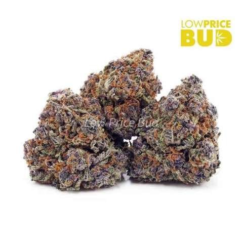 Purple OG (AAAA)