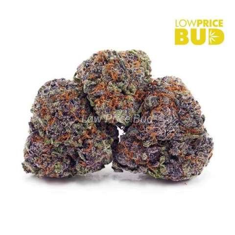 Bio Diesel (AAAA)