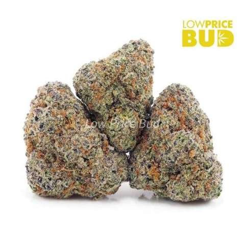 Apple Fritter (Craft Cannabis)