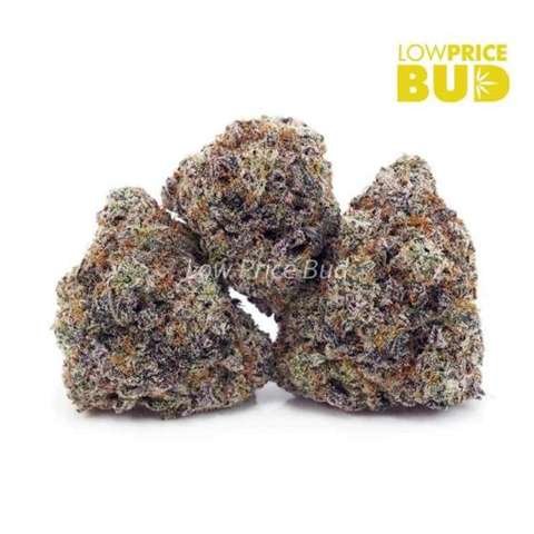 Bacio Gelato (Craft Cannabis)