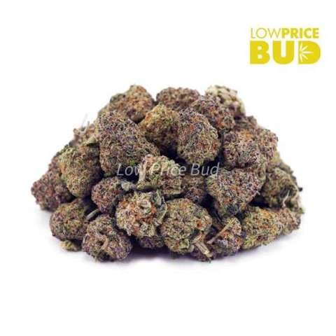 Jack Herer (AAAA) – Popcorn Nugs