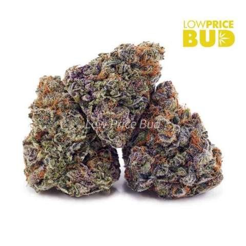 Blue Dream (AAAA)