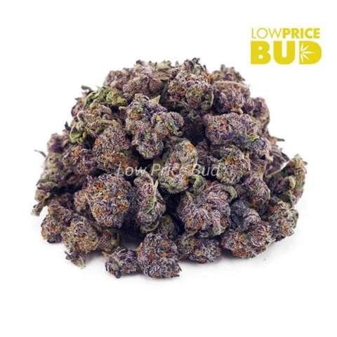 Kush Mintz (AAAA) – Popcorn Nugs