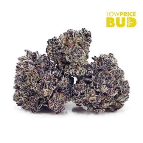 Black Widow (AAAA)