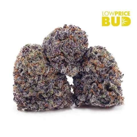 Oranges and Cream (Craft Cannabis)