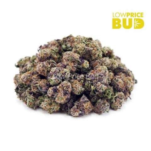 Runtz (AAAA) – Popcorn Nugs