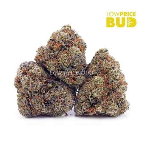 Pineapple Crack (AAAA)