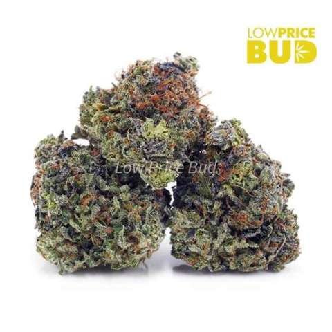 Corleone Kush (AAA)
