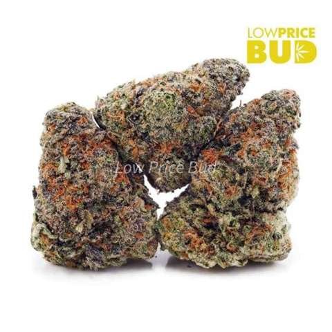 Mango OG (AAAA)