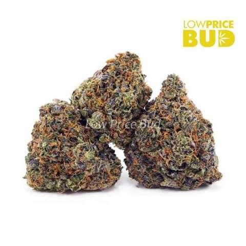 Maui Kush (AA)