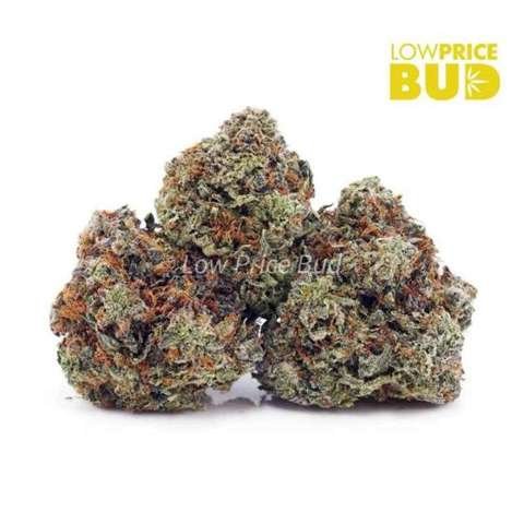 Lemon Skunk (AAAA)