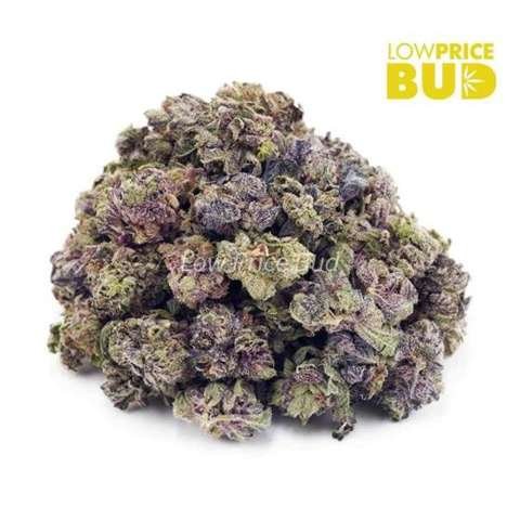 White Cherry Truffle (AAAA) – Popcorn Nugs